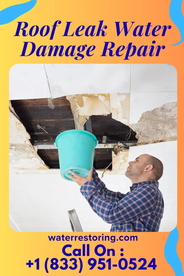 Roof Leak Water Damage Repair in Hermann, MO