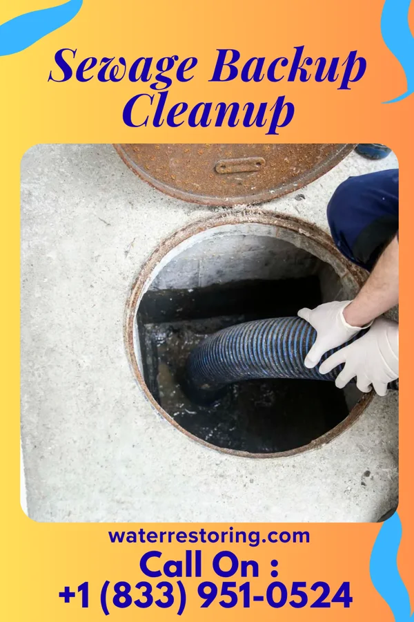 Sewage Backup Cleanup in Hermann, MO