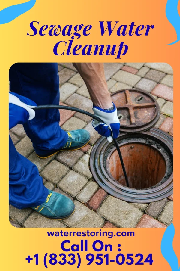 Sewage Water Cleanup in Hermann, MO