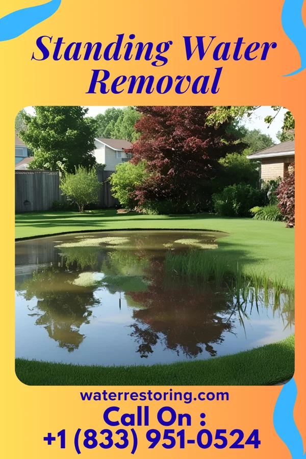 Standing Water Removal in Hermann, MO
